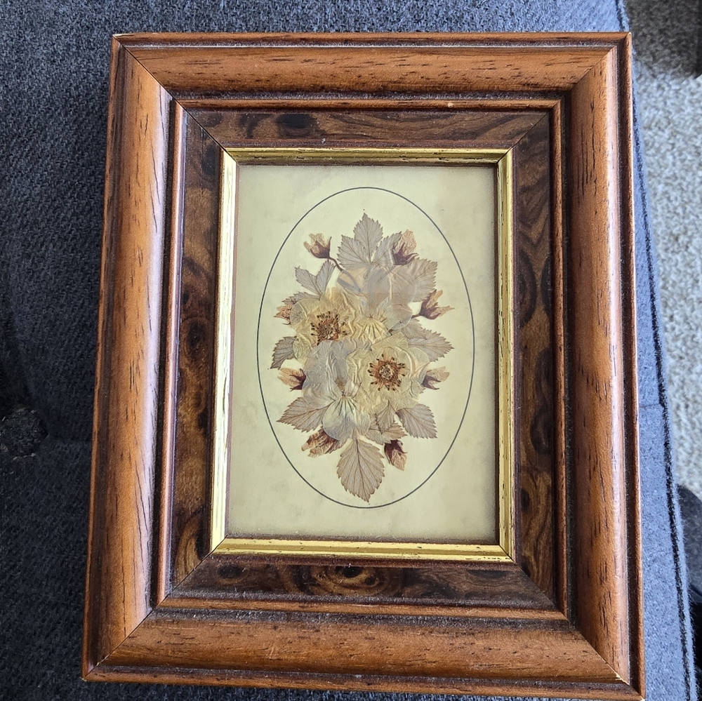 Pressed Flower Oval Artwork in Wood Frame - Brown & Gold.  Harrods, Joanna Sheen